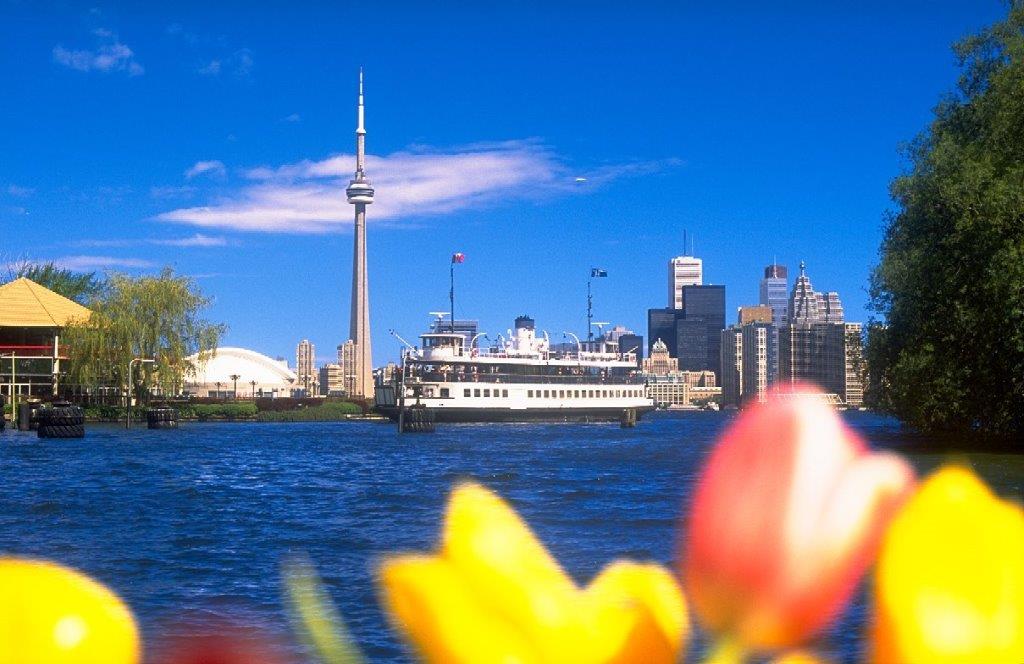 Toronto-Skyline-with-Tulips3